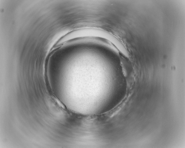 X0000088850148200706221709