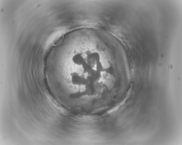 X0000088850149200706221709