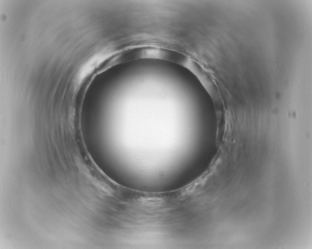 X0000088850150200706221709