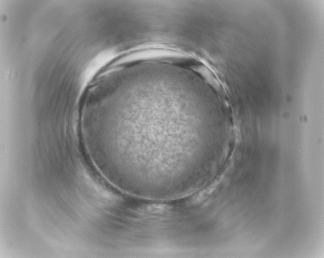 X0000088850152200706221709