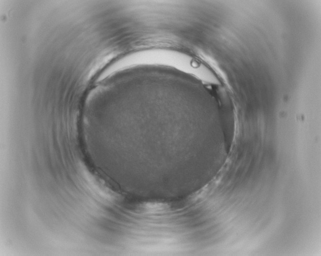 X0000088850154200706221709