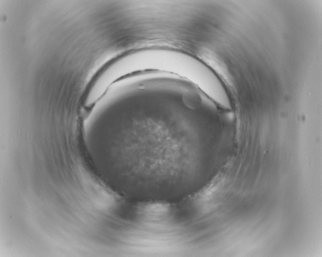 X0000088850156200706221709