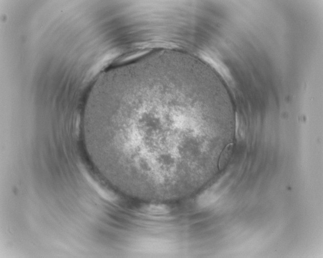 X0000088850157200706221709