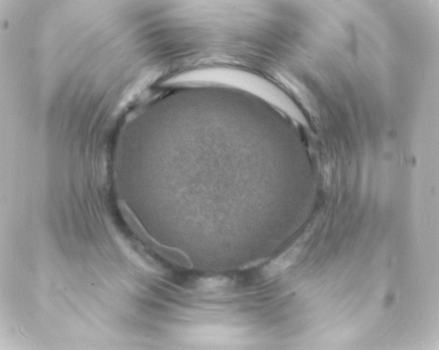 X0000088850158200706221709