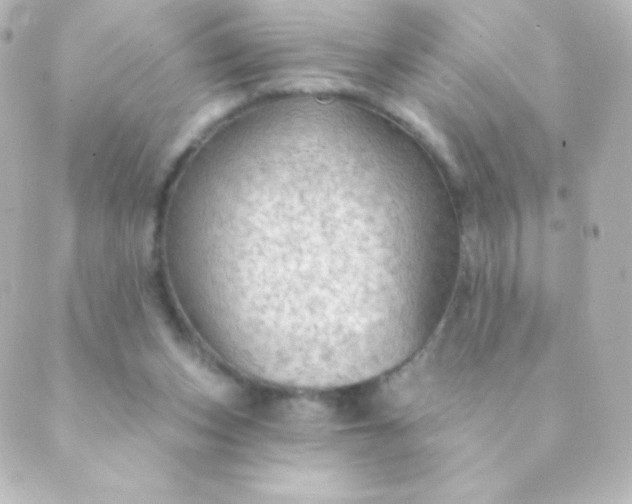 X0000088850159200706221709