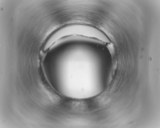 X0000088850160200706221709