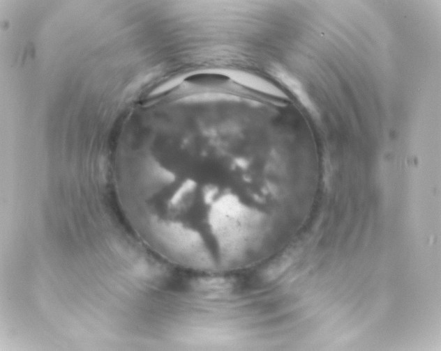 X0000088850161200706221709