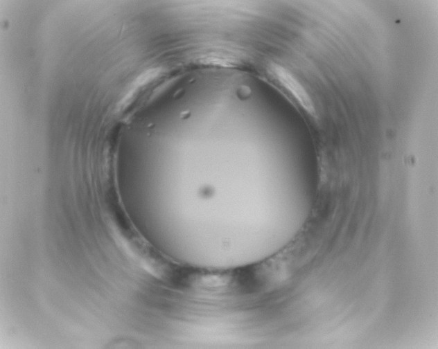 X0000088850163200706221709