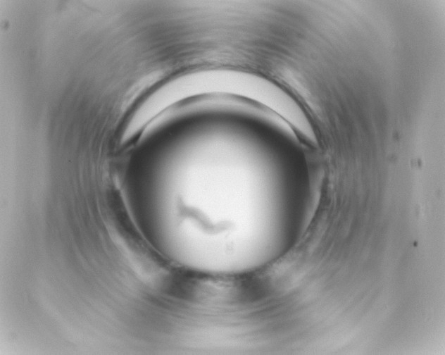 X0000088850164200706221709