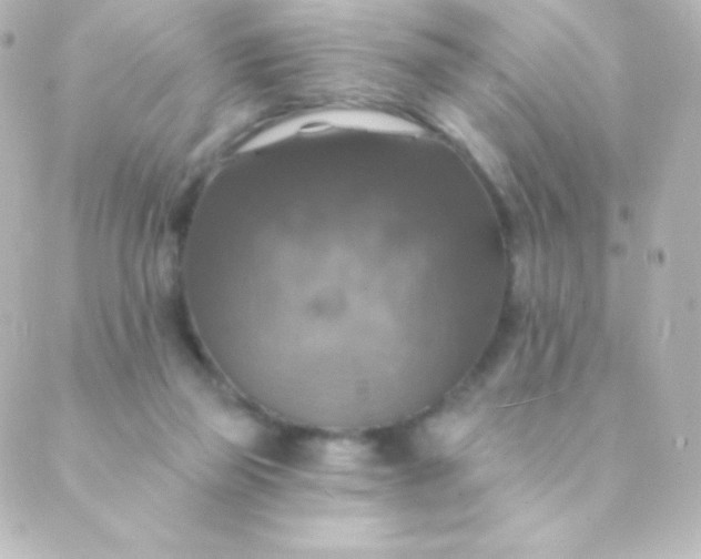 X0000088850165200706221709