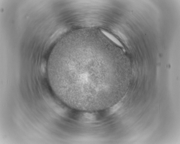 X0000088850166200706221709