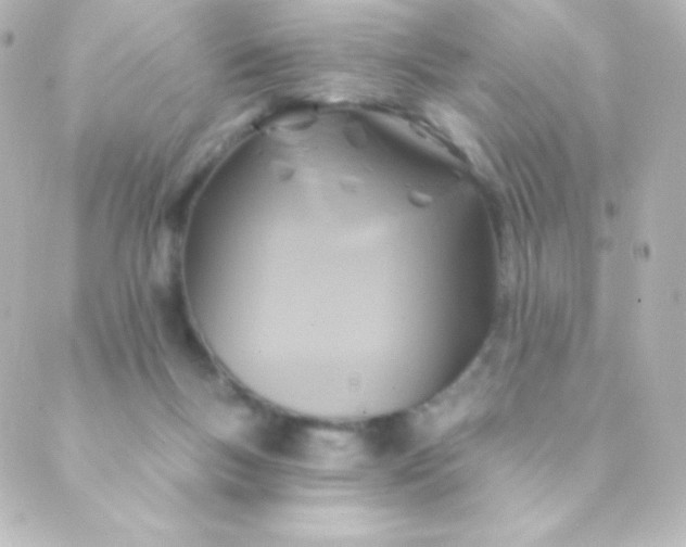 X0000088850167200706221709