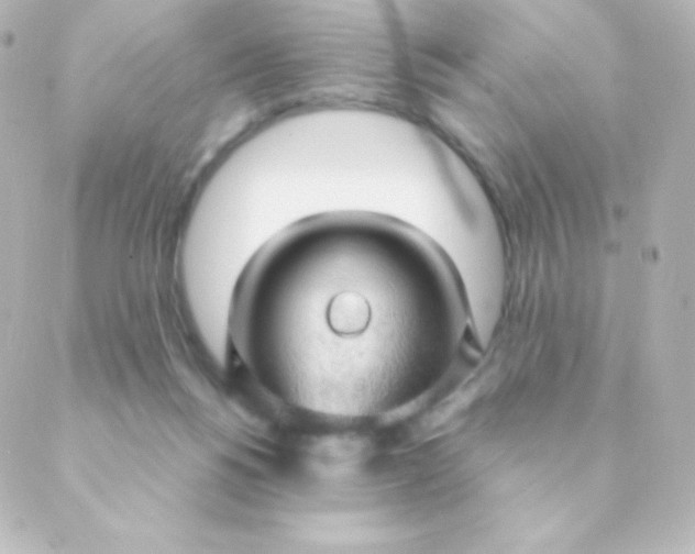 X0000088850168200706221709