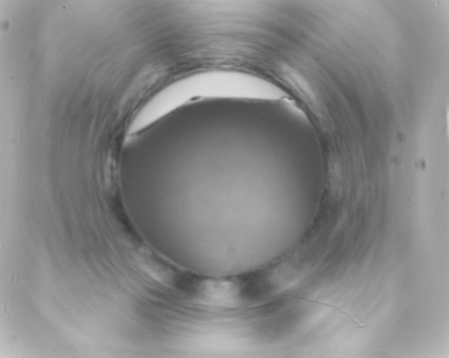 X0000088850169200706221709