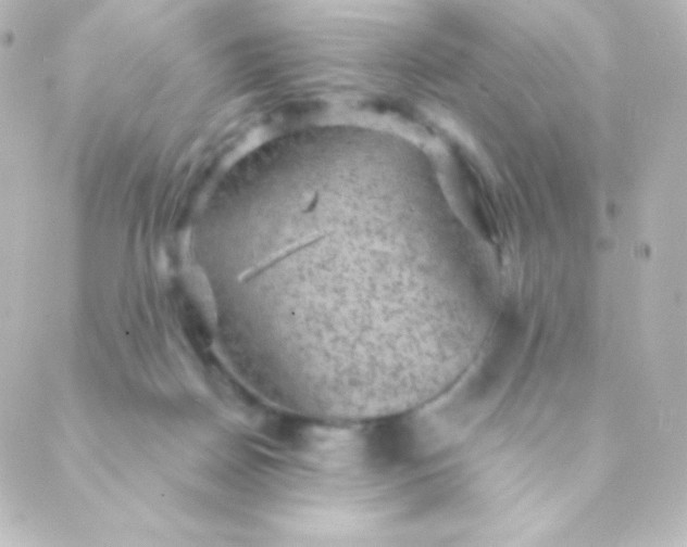 X0000088850170200706221709