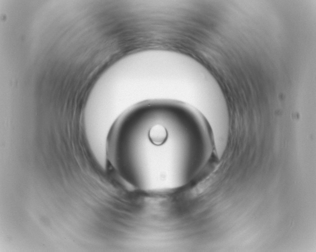 X0000088850172200706221709