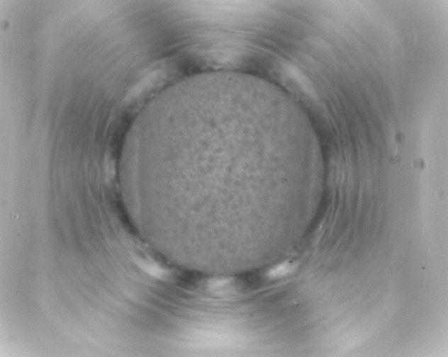 X0000088850173200706221709