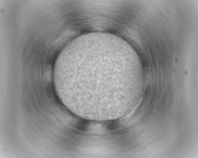 X0000088850174200706221709