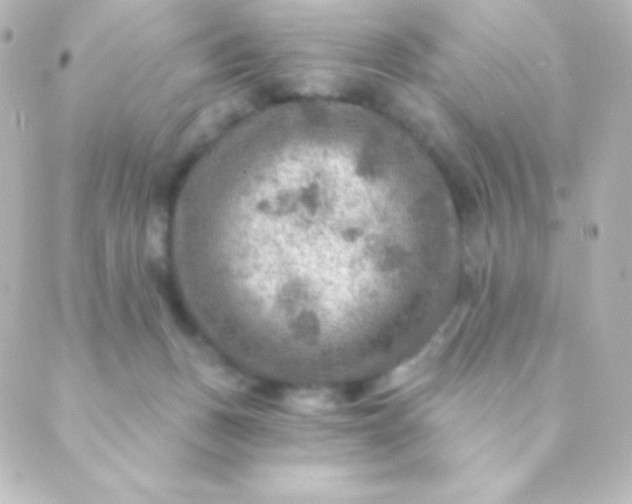 X0000088850175200706221709