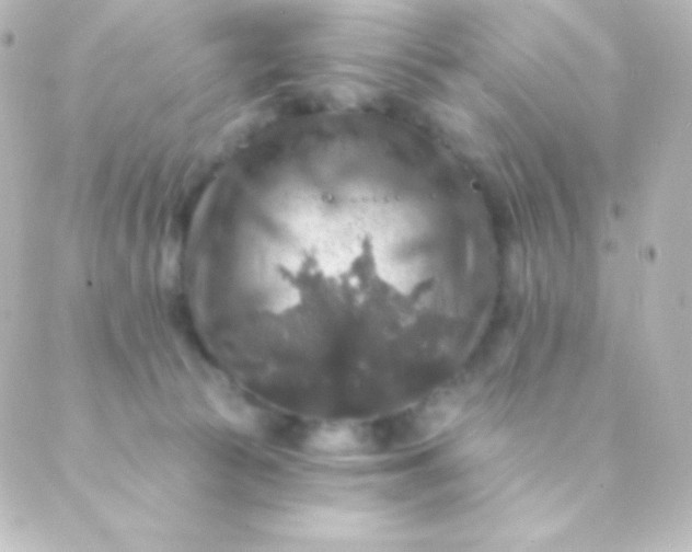 X0000088850177200706221709