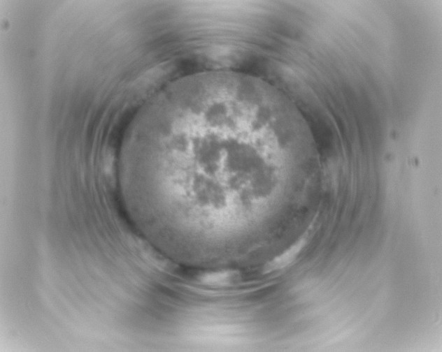 X0000088850178200706221709