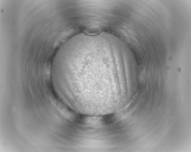 X0000088850179200706221709