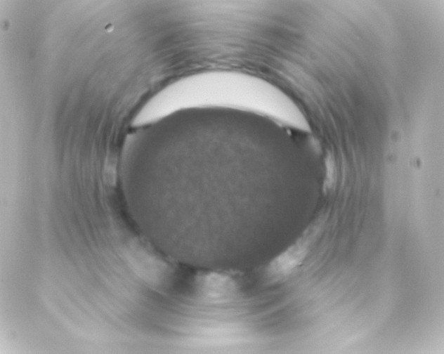 X0000088850180200706221709