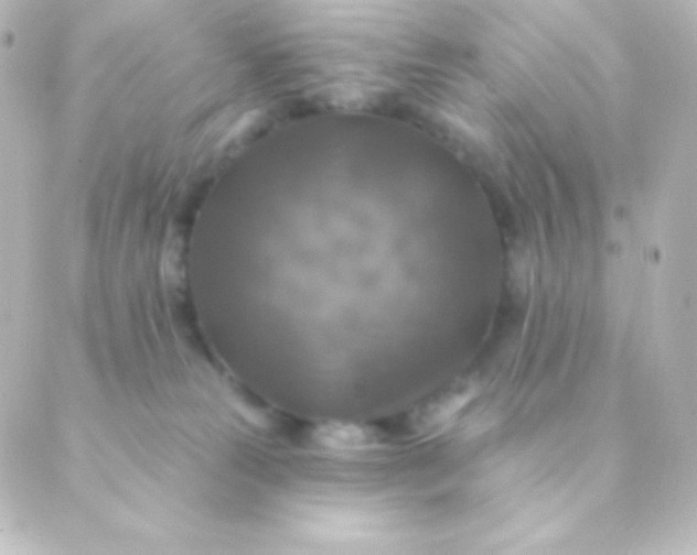 X0000088850181200706221709