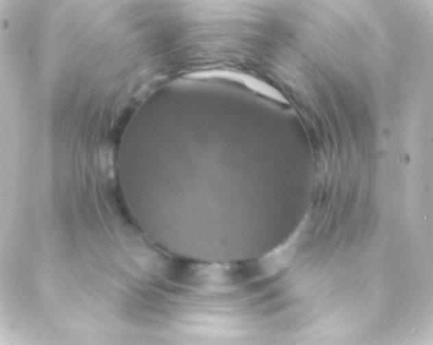 X0000088850182200706221709