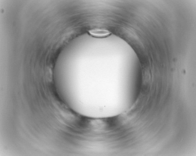 X0000088850183200706221709