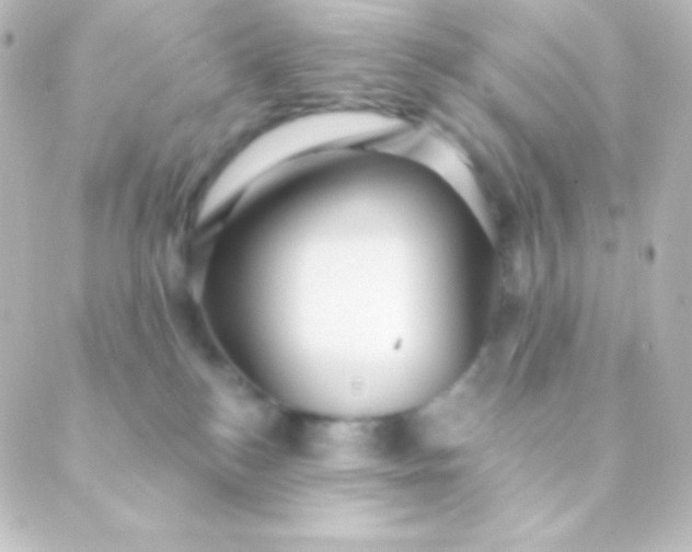 X0000088850184200706221709