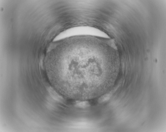 X0000088850185200706221709