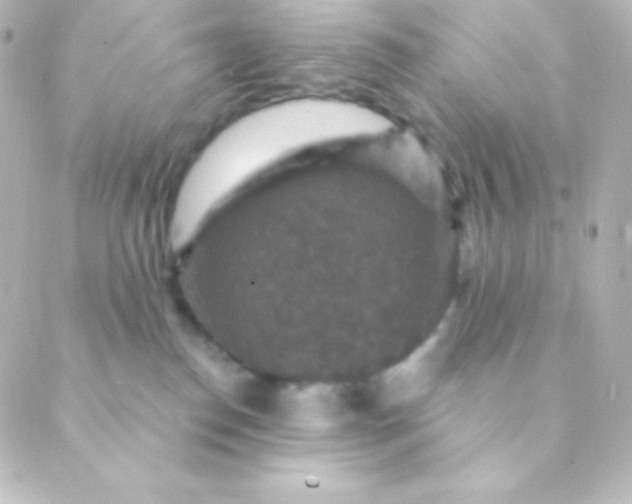 X0000088850186200706221709