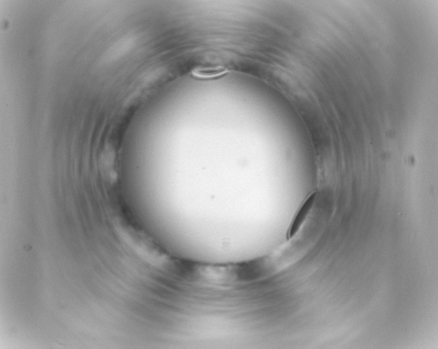 X0000088850187200706221709