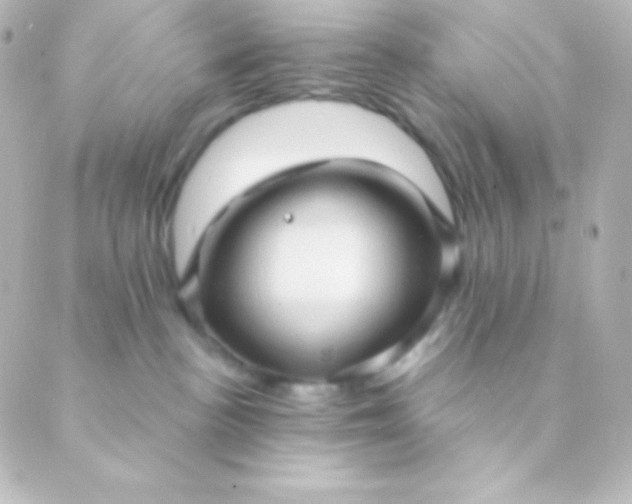 X0000088850188200706221709