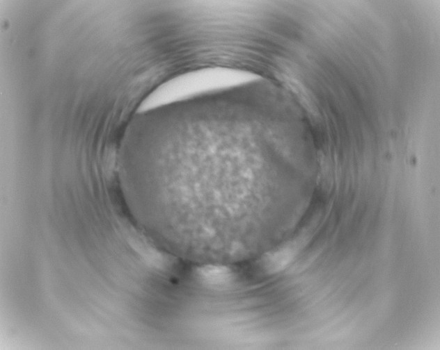 X0000088850189200706221709