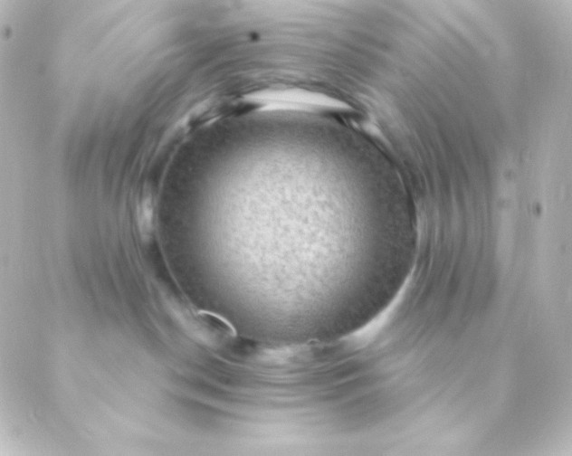 X0000088850190200706221709