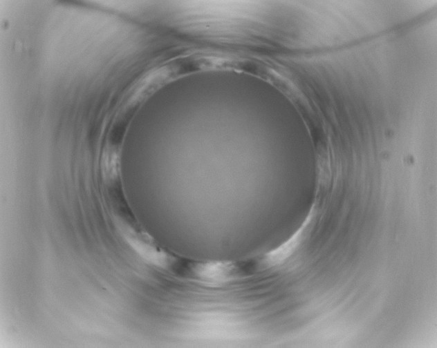 X0000088850191200706221709