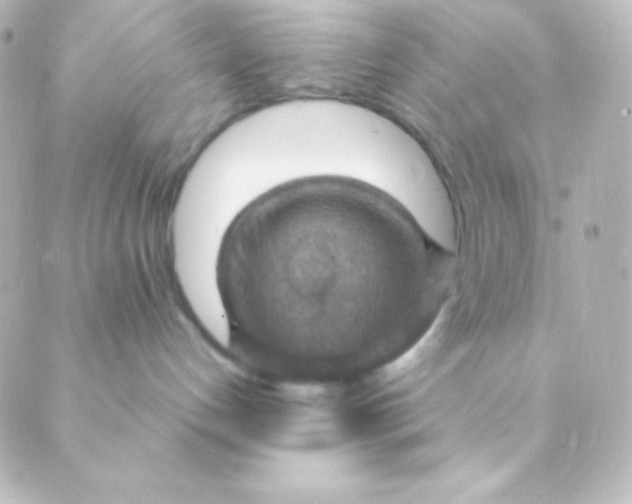 X0000088850192200706221709