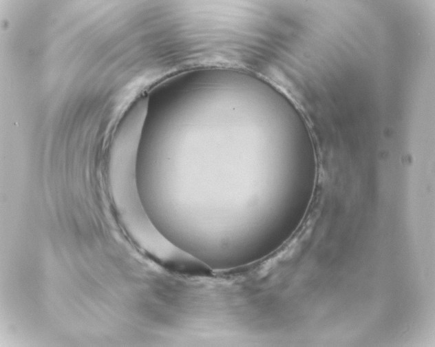 X0000088850193200706221708