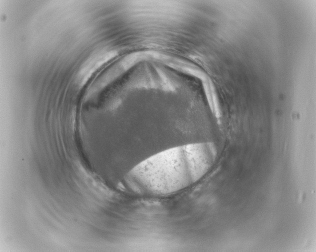 X0000088850194200706221708