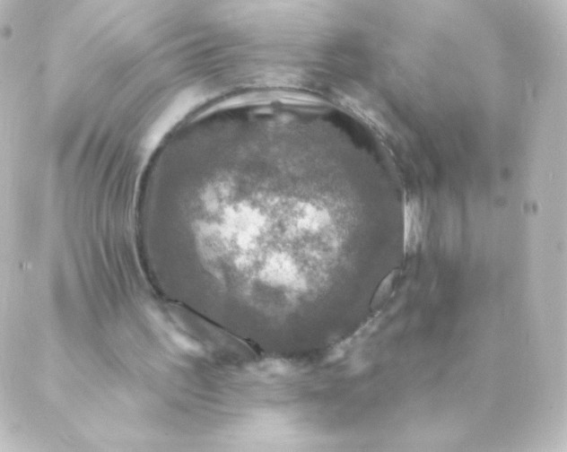 X0000088850195200706221708