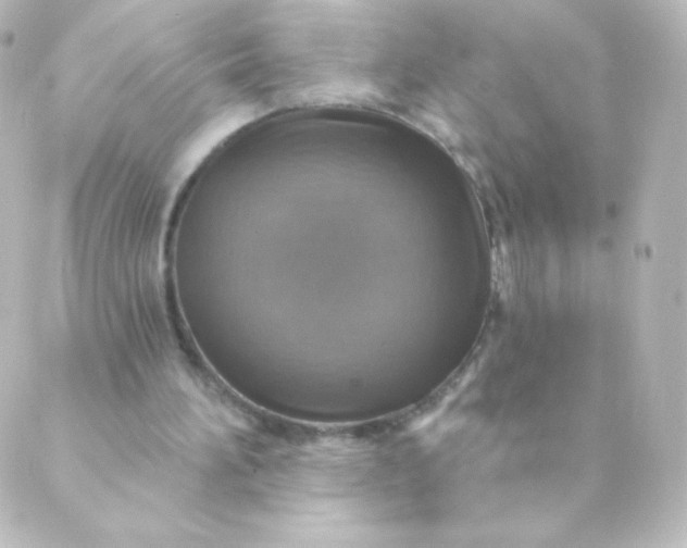 X0000088850196200706221708