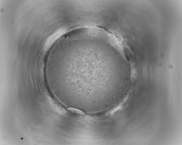 X0000088850197200706221708