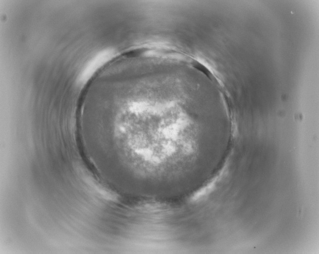 X0000088850199200706221708