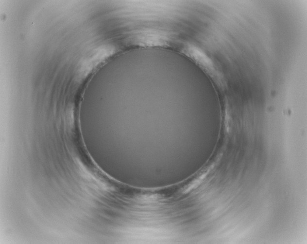 X0000088850202200706221708