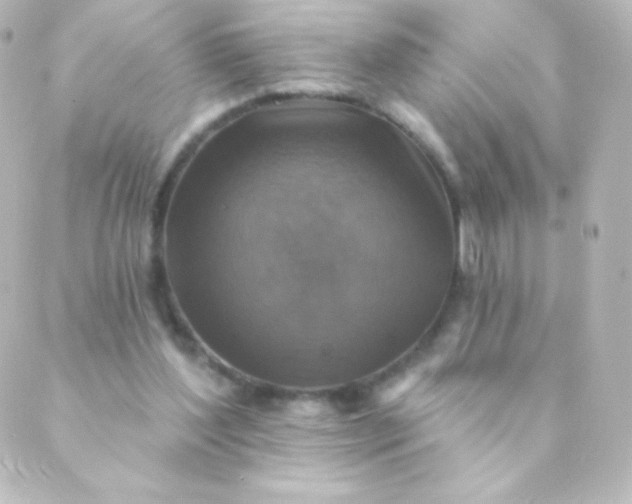 X0000088850204200706221708