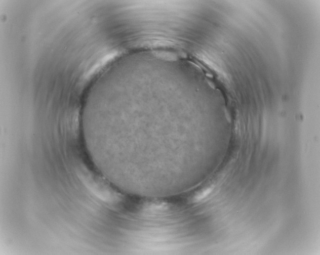 X0000088850206200706221708