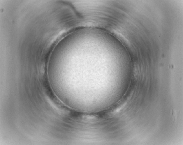 X0000088850208200706221708