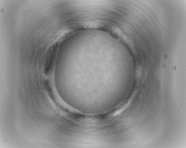 X0000088850209200706221708